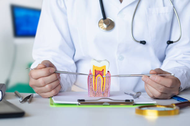Best Emergency Tooth Extraction in Fayetteville, NY